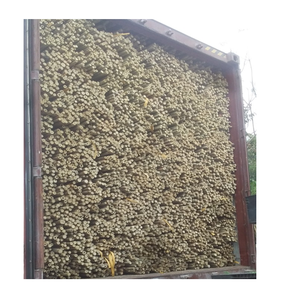 Proveedor de postes de bambú al por mayor, precio superior, producto superior - Product Image 2