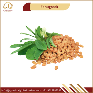 Fenugrec assaisonnement, herbe égyptienne, 100% naturel, herbes sèches, saveur douce et rafraîchissante, graines de fenugrec séchées, épices séchées alimentaires - Product Image 3