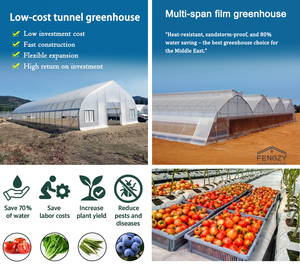 Bán Thương Mại Duy Nhất Khoảng Nhựa Màu Xanh Lá Cây Nhà Cấu Trúc Cây Cà Chua Phát triển Đường Hầm Prefab Nông Nghiệp Nhà Kính Khung - Product Image 2