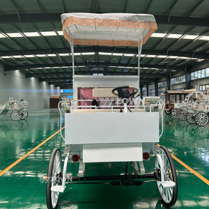 Corbillard funéraire de Style minimaliste 4 roues remorque de calèche électrique couleur personnalisée tout neuf - Product Image 2