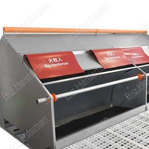Sistema Automático de Nidos en Grupo con Cinta Transportadora de Huevos y Diseño de Nido Limpio para Granjas Avícolas Comerciales a Nivel Mundial - Product Image 5