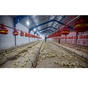 Perternakan ayam lapisan rumah Prefab sistem rumah unggas harga rendah struktur baja pembuatan Cepat rumah ayam