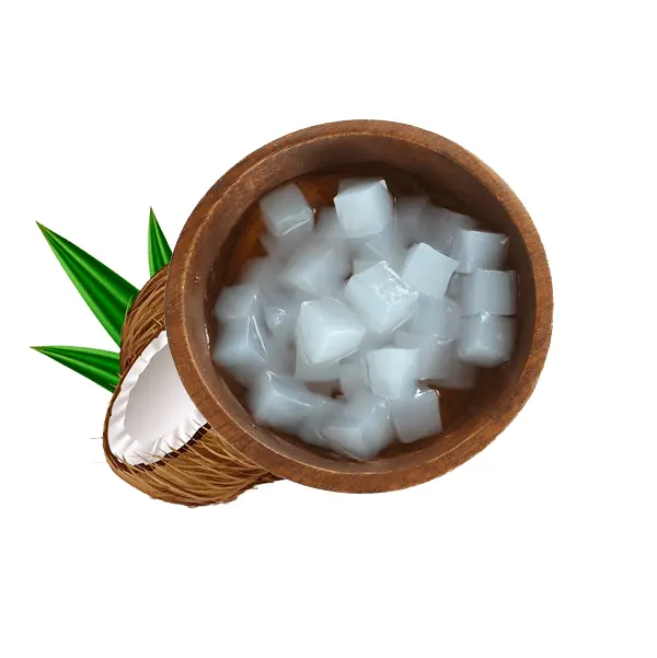 Meilleure vente de dés en cube de gel de noix de coco crue savoureuse naturelle pour boisson au lait de coco au prix d'usine