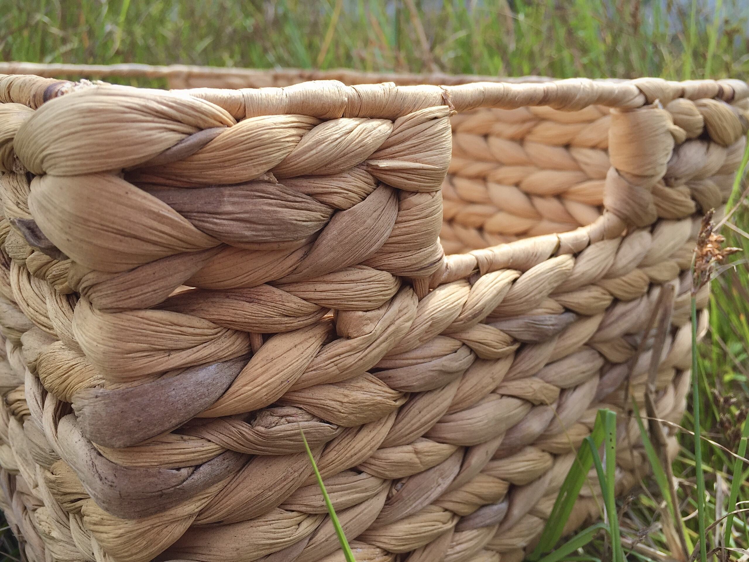 ธรรมชาติ