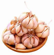 BOTÁNICO AJO CONGELADO HIERBAL NATURAL ETIQUETA LIMPIA APOYO INMUNE BASADO EN PLANTAS - Product Image 3