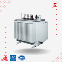 Transformateur de puissance triphasé stable de 200 kVA, 22 kV, immergé dans l'huile, avec topologie Flyback et sortie 415 V pour projets miniers