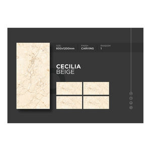 Vente chaude 600X1200MM Intérieur Design Moderne Carreaux De Sculpture En Porcelaine 5mm Épaisseur pour Planchers De Cuisine Directement De L'exportateur Indien - Product Image 6