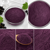 100% Natuurlijk Ribes Nigrum Fruit Vriesgedroogd Poeder/ Zwarte Bessen/ Zwarte Bessenpoeder