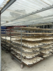 HUESO DE SEPIA DE LA MEJOR CALIDAD Y BUEN PRECIO DE VIETNAM - Product Image 6