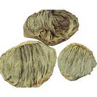 Meilleure vente de prix Omasum de boeuf/meilleurs fournisseurs d'Omasum de boeuf salé/Omasum salé de buffle de qualité et Omasum salé de boeuf à vendre - Product Image 2