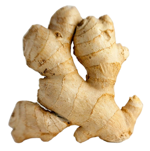 <b>Ginger</b> <b>Fresh</b> <b>Ginger</b> Export High Quality New Crop in Carton for Wholesale <b>Fresh</b> <b>Ginger</b> - Product Image 1