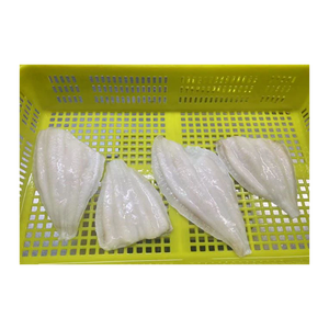 Suela amarilla congelada, venta al por mayor, suministro a granel, distribuidor de mariscos de confianza - Product Image 6