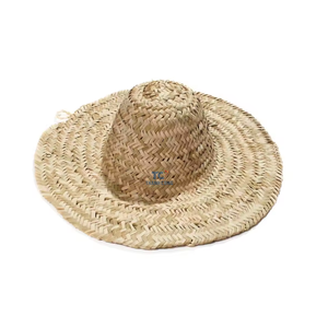 Diseño Único Fiesta Mexicana Sombrero Multicolor Precio Competitivo De Vietnam - Product Image 3