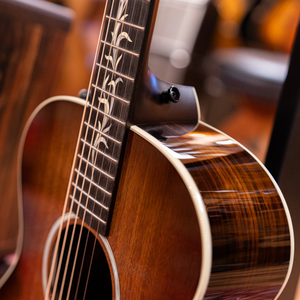 I738135N Personalizado # Guitarra Electroacústica 25 C22e con Amplificador de Guitarra Acústica AV150-10 Combo - Product Image 3