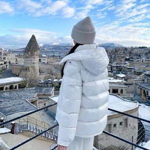 Women's New Casual Thick Loose Hooded Winter <b>Coat</b> <b>Stand</b> Collar Puffer Jacket Glossy Stylish High Street Print Short Outerwear - Product Image 4