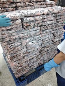 หนังปลาแช่แข็งสำหรับสารสกัดคอลลาเจนเจลาติน-หนังปลาเพื่อการแปรรูปและส่งออก | โอเชี่ยน-จับอาหารทะเลผลพลอยได้ - Product Image 5