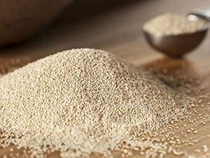 Optimiser l'efficacité agricole avec les nutriments essentiels Poudre de levure pour les bovins Volaille Chevaux Poisson - Product Image 6