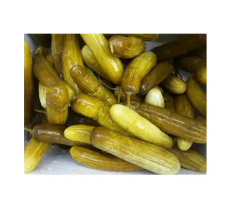 Cetrioli interi in salamoia salati per l'esportazione di alimenti/cetriolo in scatola a buon mercato