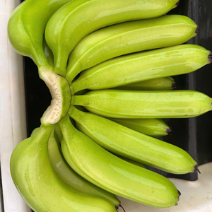 Plátanos Cavendish de Vietnam, calidad de exportación para los mercados del CCG y Oriente Medio - Product Image 1