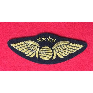 Écusson de robe Croix des Épées N°1 Vert Fusil - Product Image 5