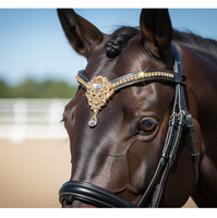 Bandeau de luxe en cristal pour cheval, fait main, avec strass et détails dorés, accessoire de bridon pour chevaux de dressage et de concours