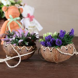 Maceta de cáscara de coco artesanal, maceta de planta de coco con logotipo grabado láser, hecho en Vietnam, alta calidad para la exportación, 100% - Product Image 5