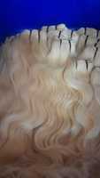 Extensions de cheveux humains vierges indiens Remy blond platine, double trame, ondulés, doux, naturels, haute qualité, OEM disponible