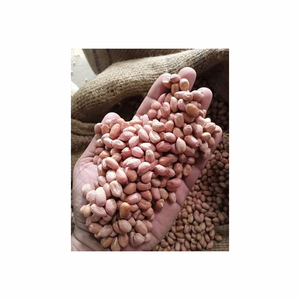 High Quality Organic Dried Raw <b>Peanuts</b> Ground Nut Ground <b>Peanut</b> Nut OEM Service Wholesale Raw Ground Nuts - Product Image 4