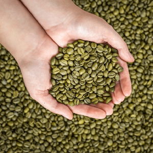 Granos de Café Verde ARABICA 60 KG Neto Café de Colombia / Compre Granos de Café Arábica Premium Colombiano en Empaque a Granel - Product Image 4