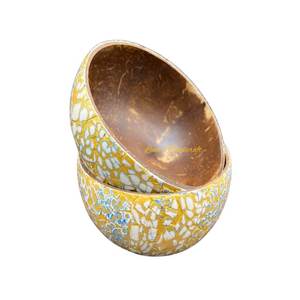 ชุดชามมะพร้าวเคลือบแบบโบราณที่เป็นมิตรต่อสิ่งแวดล้อมทำจากเวียดนามช้อนหัตถกรรมที่มีน้ำหนักเบาช้อนส้อมสำหรับเสิร์ฟอาหารอาหารเย็น - Product Image 1