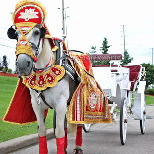 Costume de cheval décoré pour mariage indien mariage indien Costume de cheval en tissu rouge Costume de cheval brodé rouge et or - Product Image 2