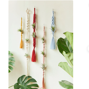 Macrame <b>Wall</b> <b>Hanging</b> Customized Macrame Plant Hanger for <b>Wall</b> and Window Decoration Double Macrame Plant Holder - Product Image 1