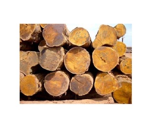 LEÑA DE MADERA DURA MIXTA SECADA EN HORNO DE GRADO DE EXPORTACIÓN CLEAN PERFECT, 100% NATURAL, EMBALAJE PERSONALIZADO PARA PEDIDOS AL POR MAYOR, SECA - Product Image 6