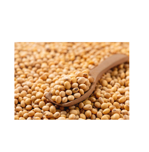 NON GMO <b>Soybean</b> Available for Cheap Price / High Quality <b>Soybean</b>/Premium Quality - Product Image 5