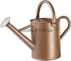 galvanized watering can for succulents and houseplants metal watering can for flowers, herbs vegetables Brass Rose Vintage - Product Image 1