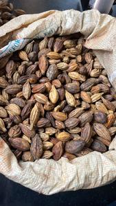 Producto agrícola Premium de Myrobalan-Fruta seca entera de Chebulic Myrobalan Hilly Region Western Maharashtra SPDK Agrosphere - Product Image 2