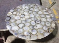 Table basse moderne en pierre d'agate naturelle, écologique, pour salon, décoration intérieure, meubles, Diwali, marbre du patrimoine d'Agra