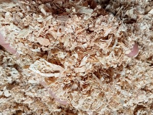 Virutas de madera de pino para casa de mascotas Origen de Vietnam 24 meses de vida útil - Product Image 6