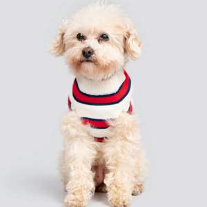 Sweat-shirt de rugby personnalisable Vêtements de sport de haute qualité pour les équipes de rugby Parfait pour l'entraînement et les vêtements décontractés - Product Image 4