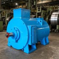 Moteur électrique à courant continu brossé WPDJ ZZJ-806 22,4 kW 440 V 575 tr/min à couple élevé pour laminoir certifié CE