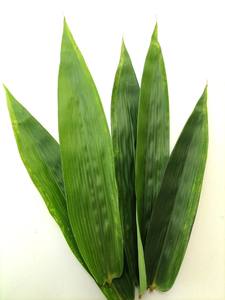 ชาสมุนไพรใบไผ่สีเขียวแห้งธรรมชาติดอกบัวสีน้ำเงินเวียดนาม - Product Image 6