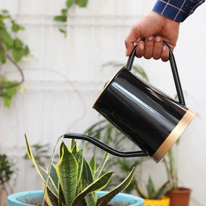 Arrosoir à revêtement en poudre métallique avec Long bec pour une utilisation intérieure et extérieure | Meilleur outil de jardinage domestique 2 litres - Product Image 5