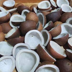 Farine de coprah de noix de coco séchée et coprah entier - Directement du fabricant - Product Image 4