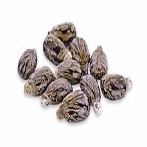 Semillas de Ricino Naturales Marrones, Producto Agrícola a Precio Razonable - Product Image 5