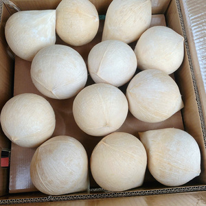 Noix de coco entière polie jeune et fraîche, Cocco Fresco Lucidato, Coco Fresco Polido, pour importateur - Product Image 6