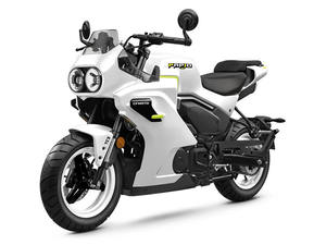 Motocicleta Papio SS Ev Mini Street 126cc 2026 en Venta - Product Image 6