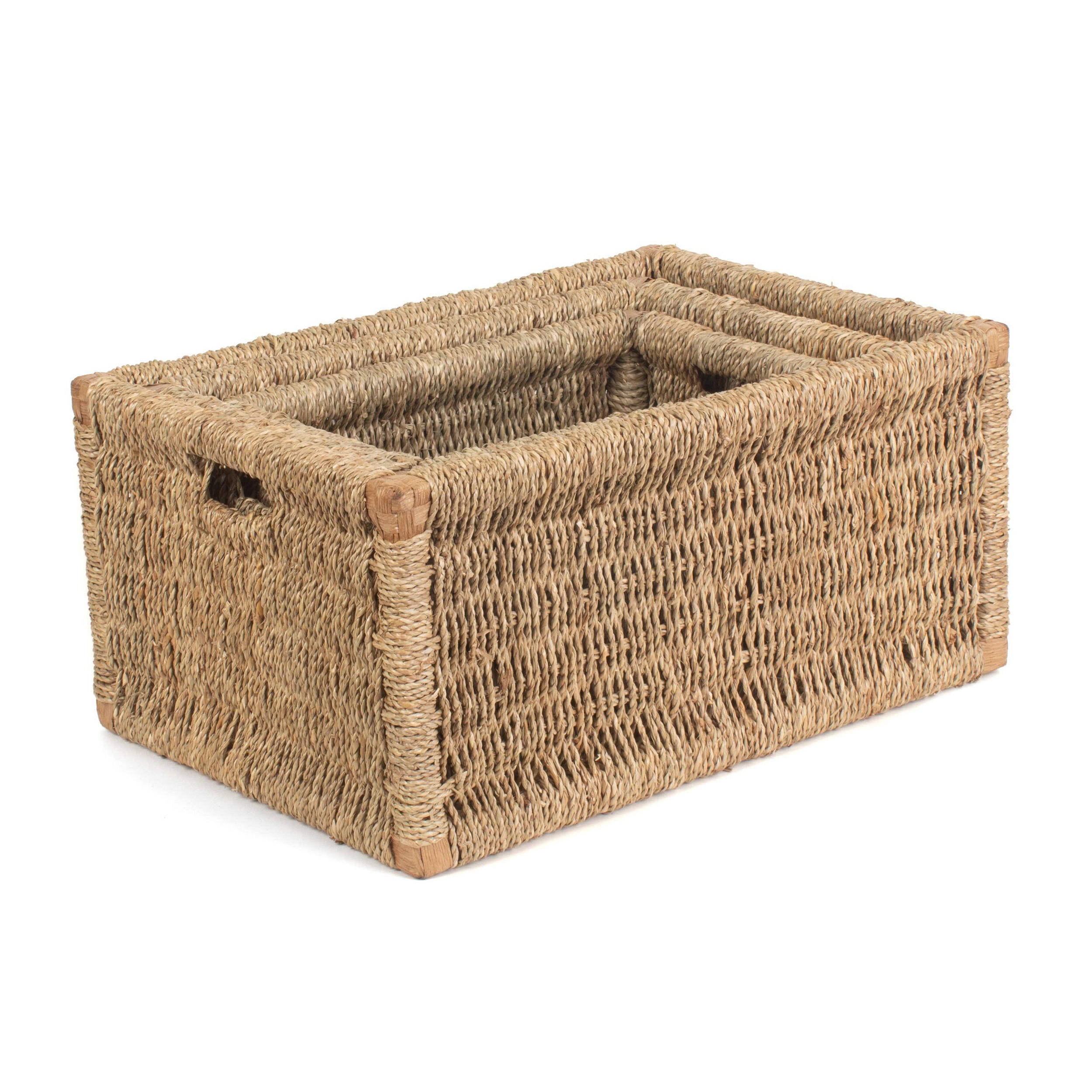 ธรรมชาติ