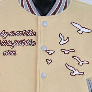 Chaqueta de Invierno de Estilo Moderno, Diseño Nuevo, Patchwork, Estilo Urbano, de Alta Calidad, Chaqueta Universitaria con Bordado de Chenilla - Product Image 2