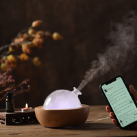 Haut-parleur Bluetooth en bois, musique, verre, bois véritable, parfum, aromathérapie, arôme, Air frais, diffuseur d'huile essentielle, humidificateur