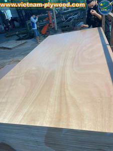Contrachapado de Okoume para Muebles, Carpintería Interior y Uso en Almacenes |   Fabricante de Vietnam, Superficie Lijada de Primera Clase - Product Image 4